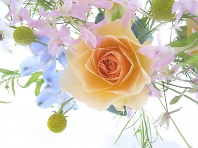 flowers_-_a_spring_bouquet_with_a_rose1