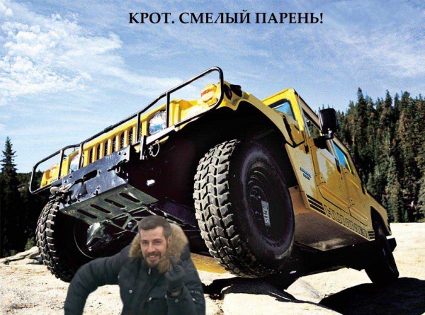 Крутойкрот