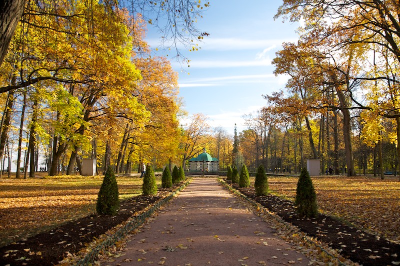 Петергоф Осенью Фото Красивые