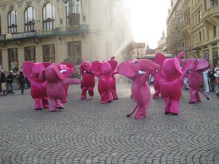 Танец слоники. Розовые слоны. Танцующий слон. Розовый Слоник танцует. Розовые слоники бегают по комнате.