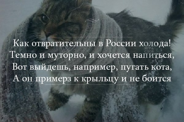 Легче переношу холод. Как отвратительны в России холода. Вот выйдешь например пугать кота а он примерз к крыльцу и не боится. Пугать кота а он примерз. Вот выйдешь например пугать кота.