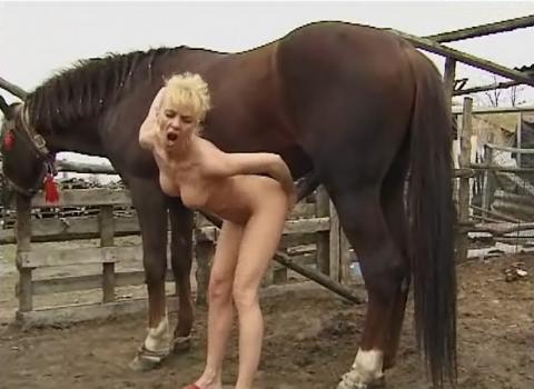Pferde Mit Geilen Frau Gratis Pornos und Sexfilme Hier Anschauen